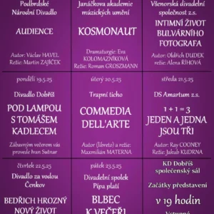 497578388_1379492133099828_3755741667634393162_n Dobříš – 18. Festival divadelních ochotníků 2025