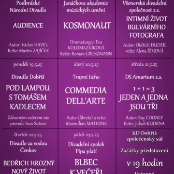 497578388_1379492133099828_3755741667634393162_n Dobříš – 18. Festival divadelních ochotníků 2025